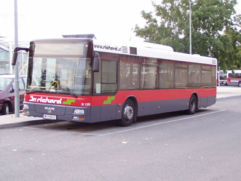 busz (41)