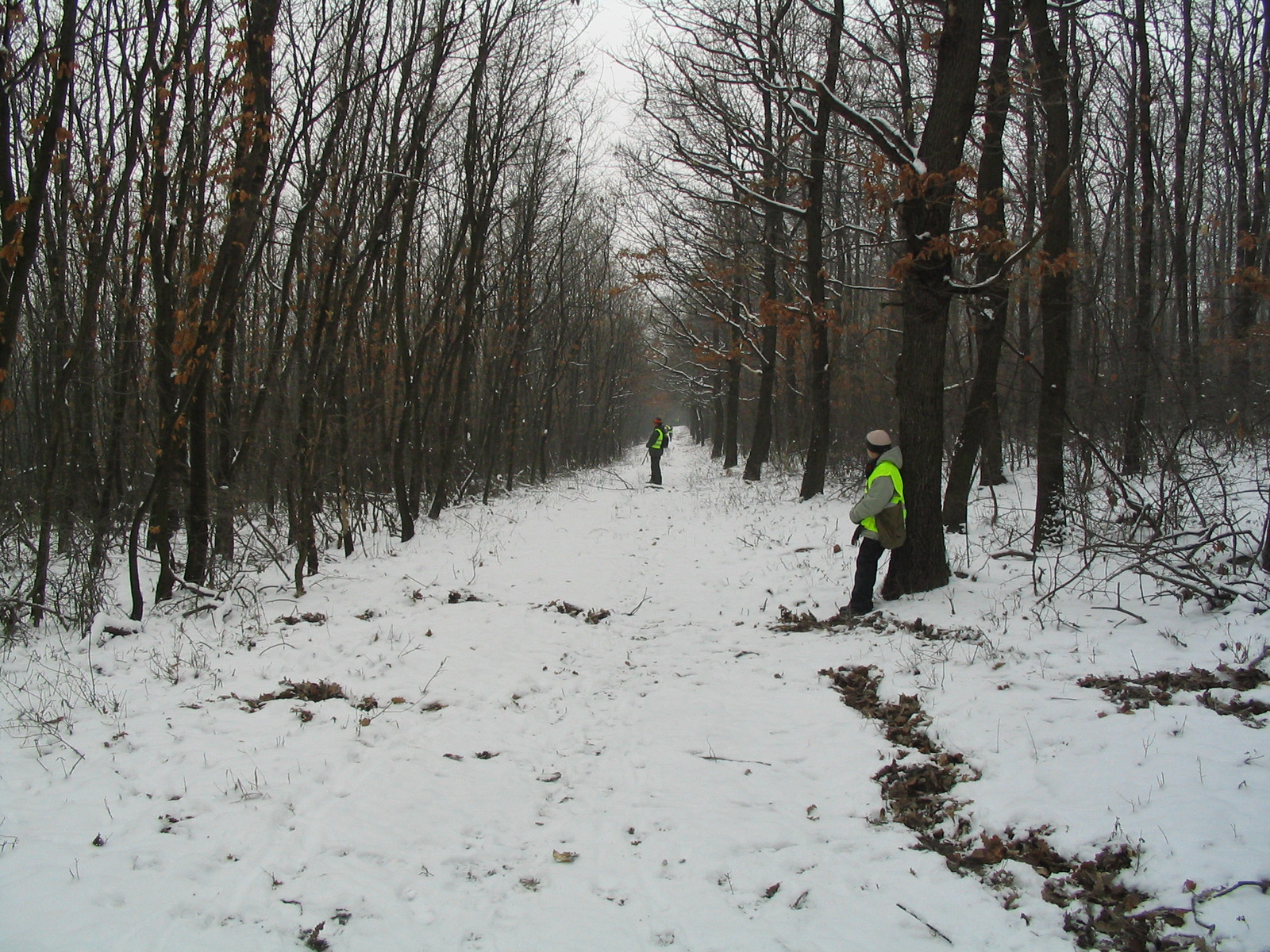 2009 november l9-én megtartott nagyvadas vadászat kezdete