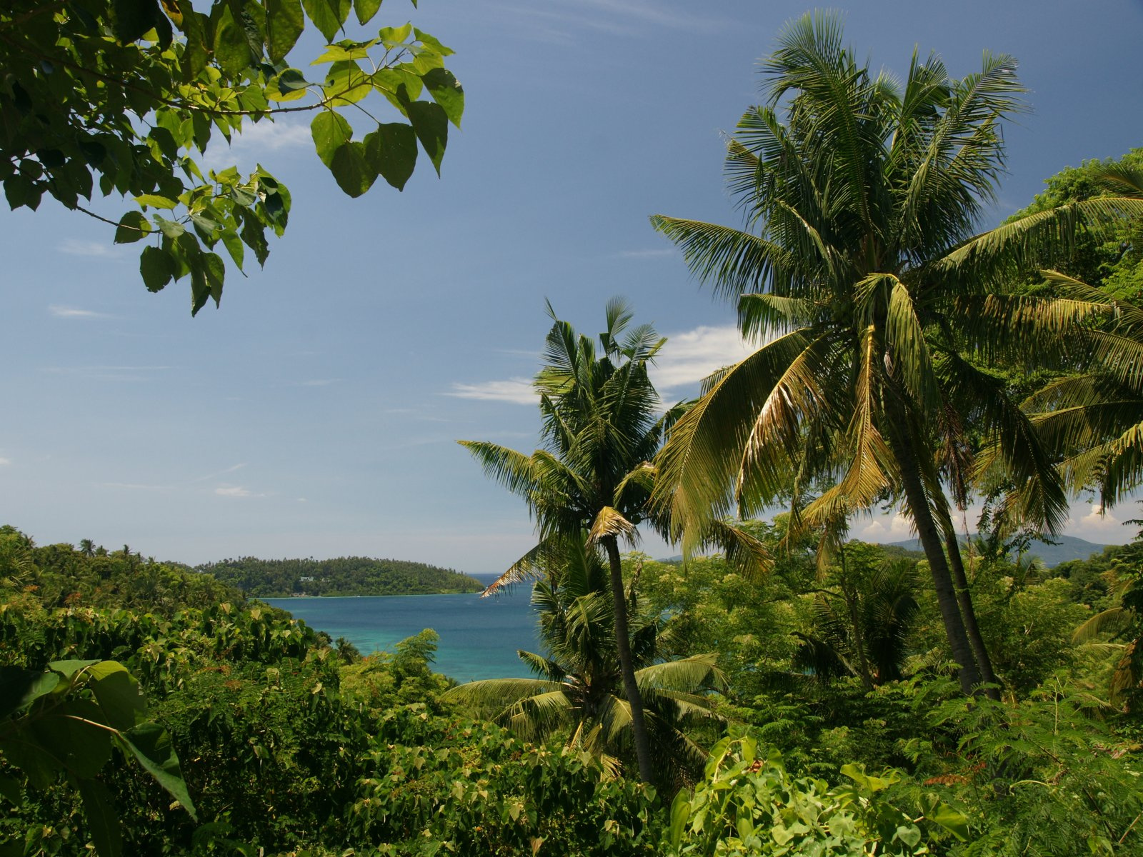 ocean-view-palms-dsc04699-wp