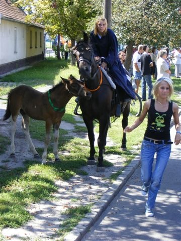 2009.09.05.kiskorosi szureti napok 051