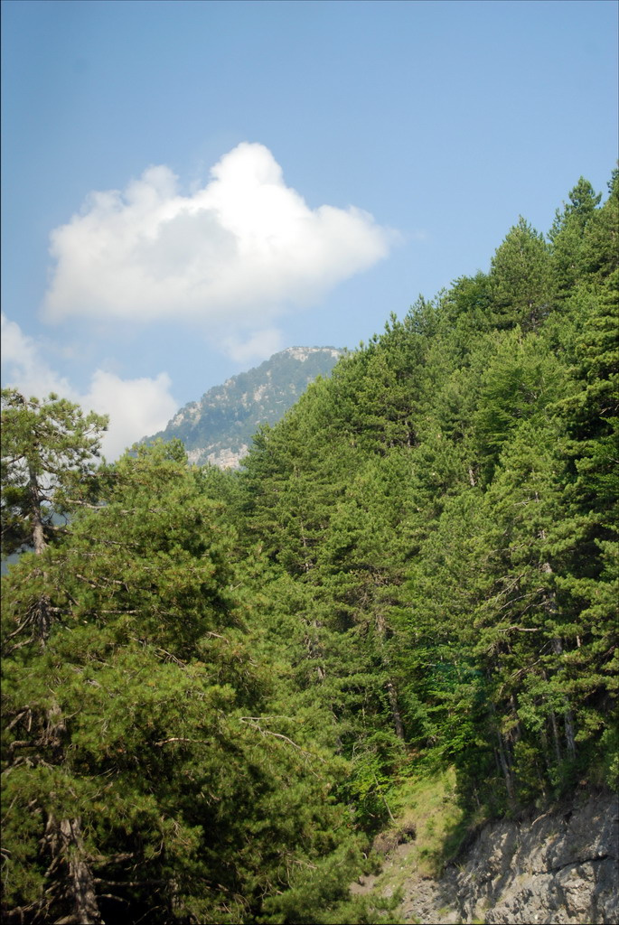 olympos05