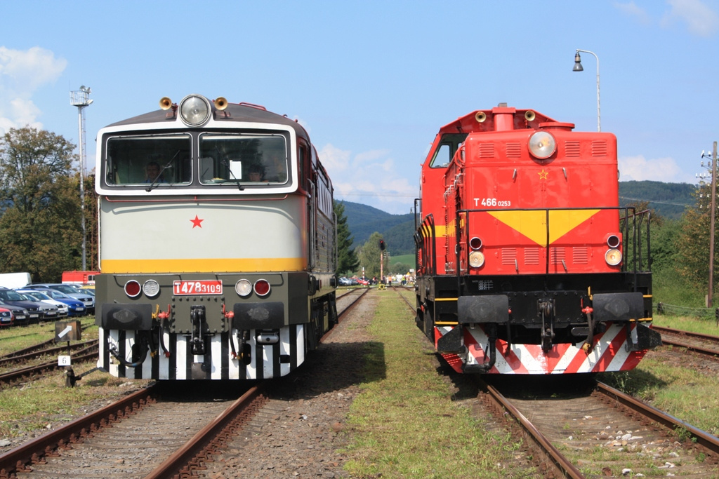 T478-3109 & T466-0253