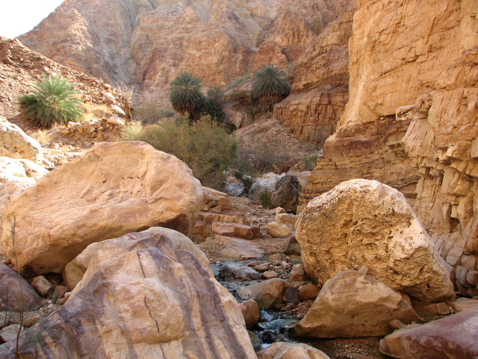20110117jordania 722