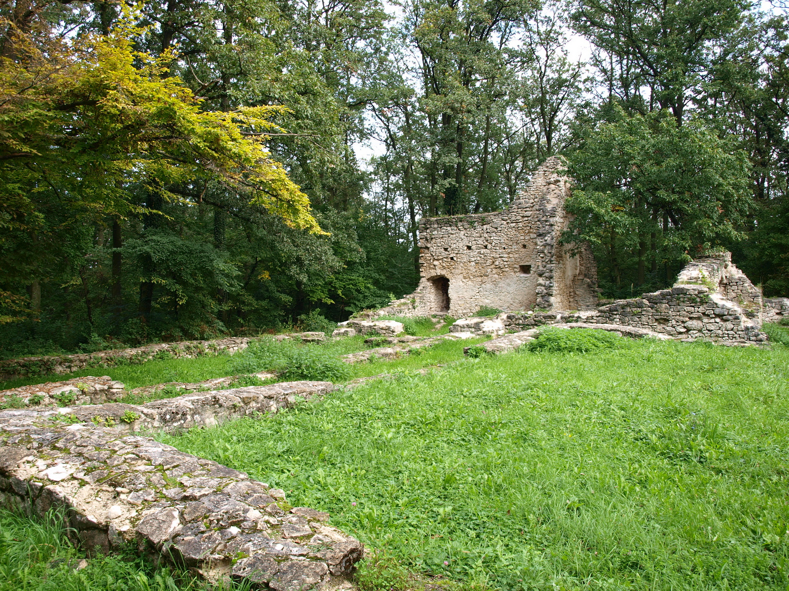 Nagyvázsony, pálos kolostor romja 05