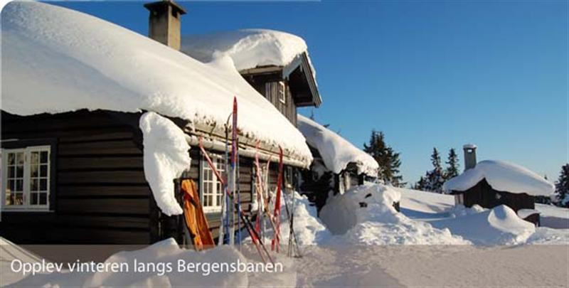 Forside Bergensbanen vinterhytte (Medium)