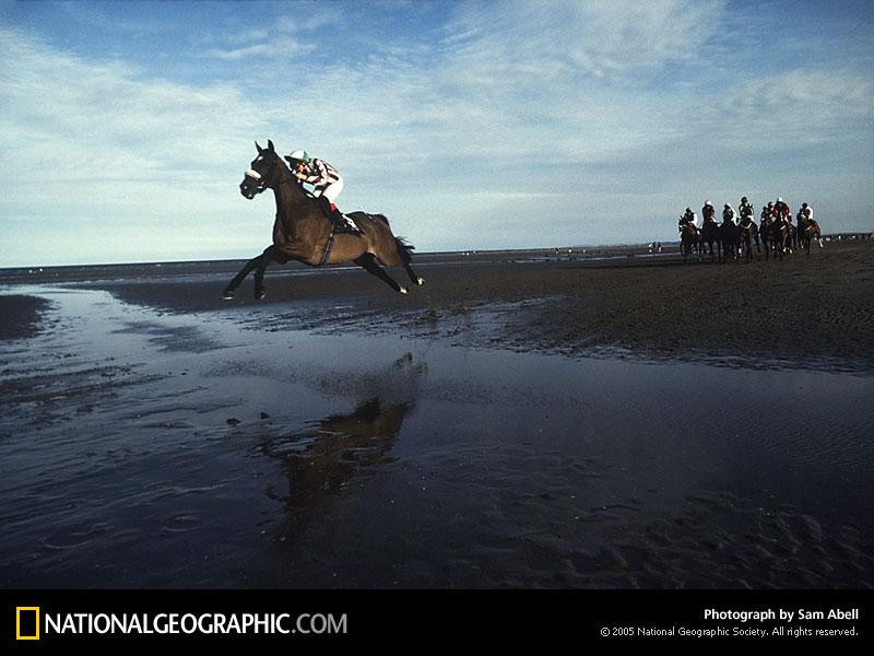 beach-horse-race-489648-sw (Medium)