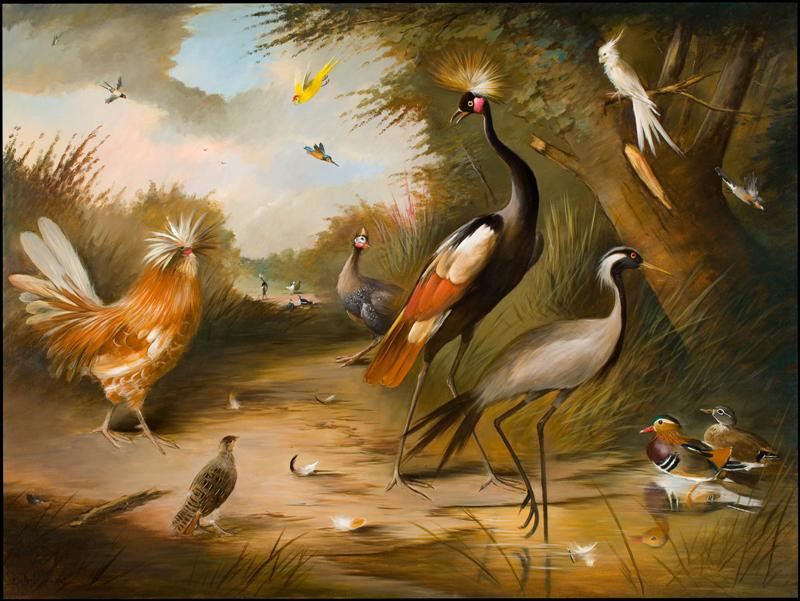 edward mccosh variety of birds (Medium)