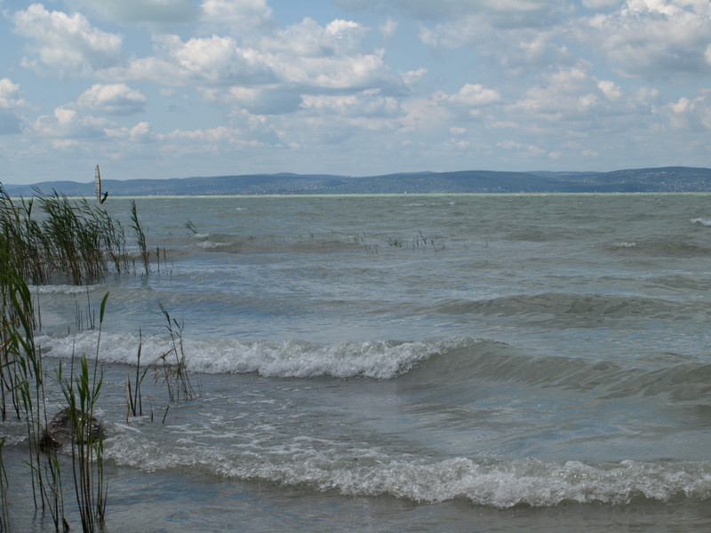 balaton2008+ 026