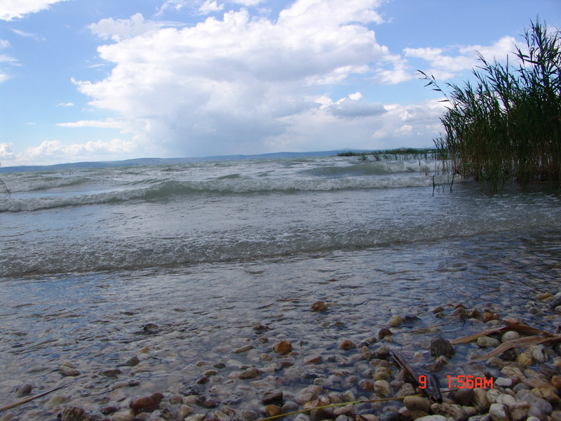 balaton2008 114