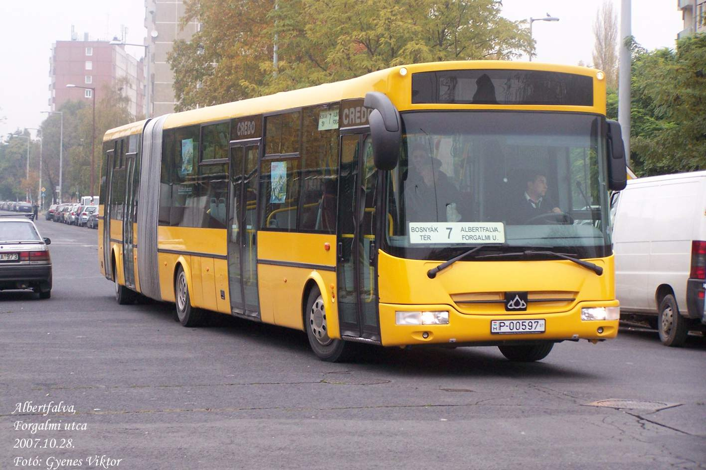 Busz P-00597 1