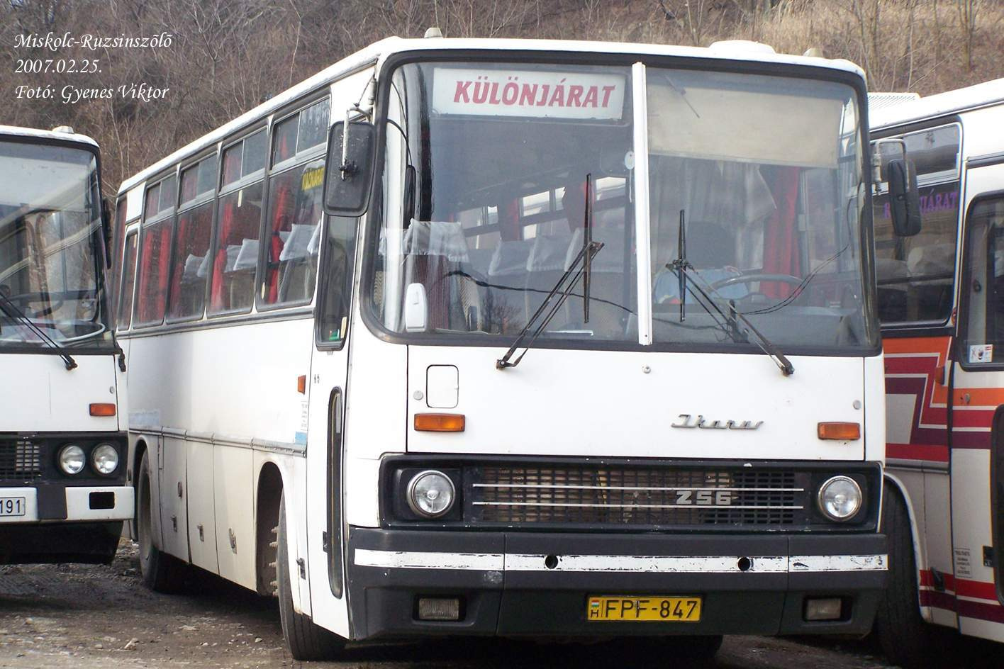 Ikarus 256-FPF-847