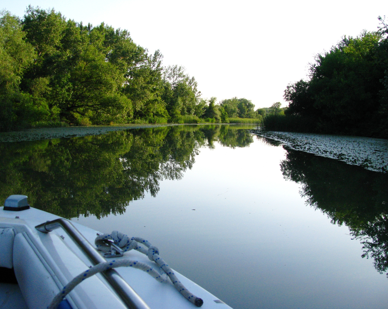 Tisza-tó 2