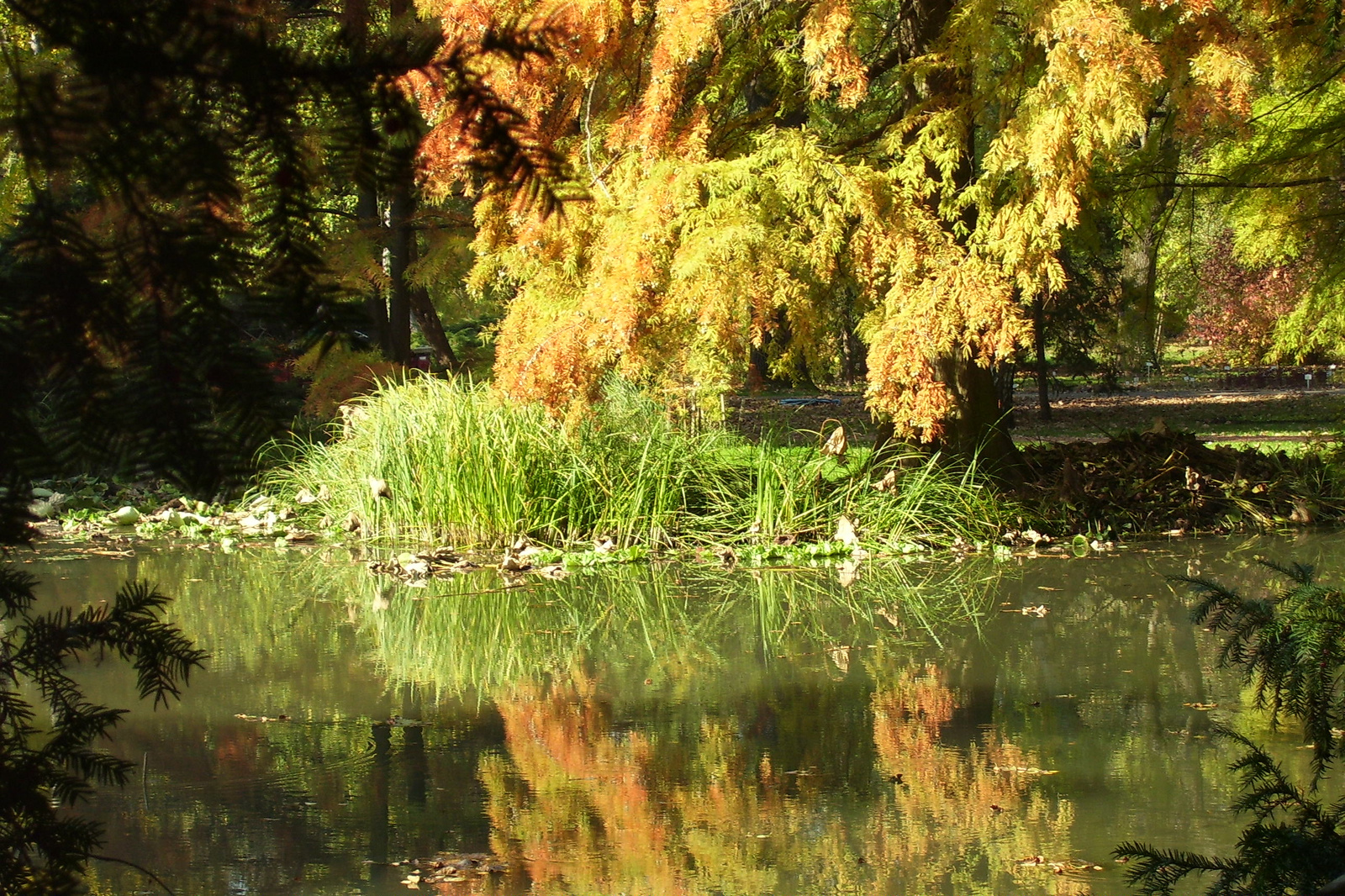 tótükör2