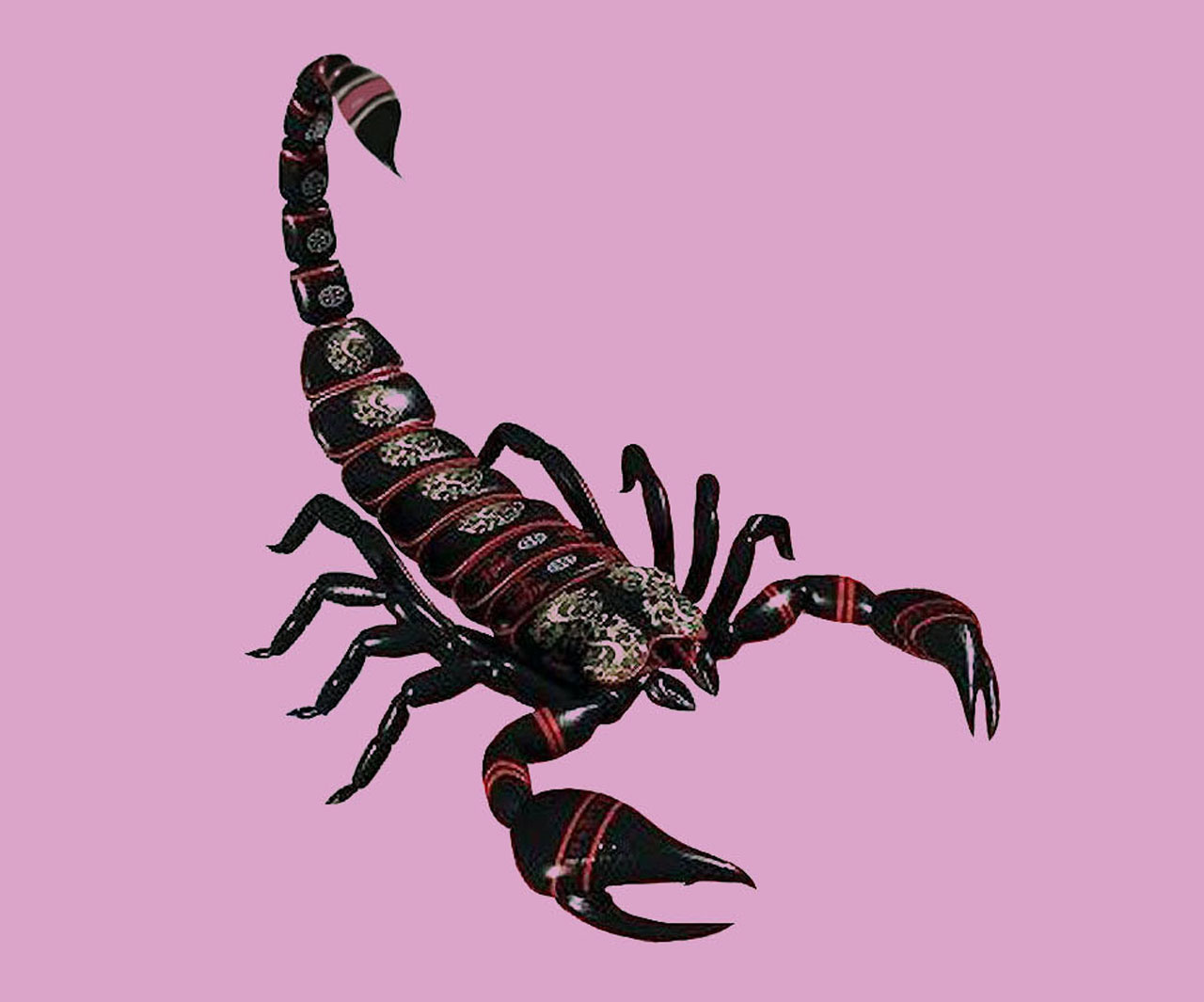 Beautiful Scorpio