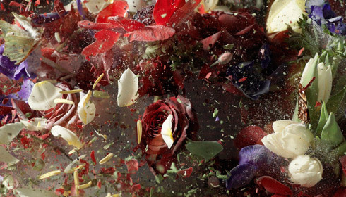 ori gersht news detail