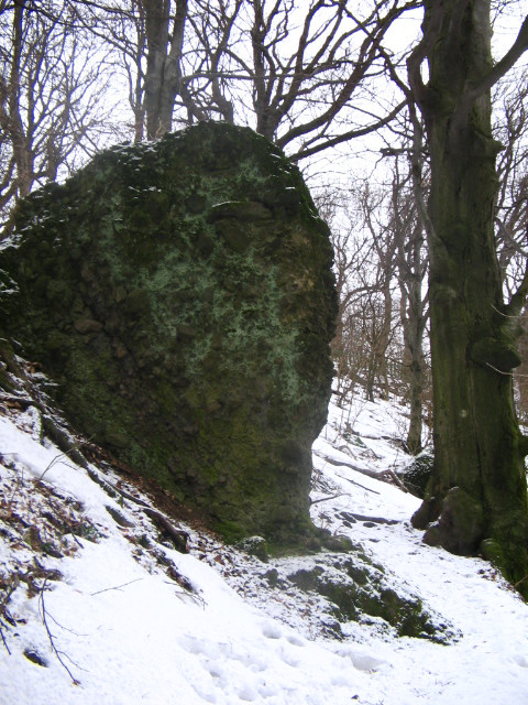 Thirring Krt.-Szentkereszt szurdok ösv. 021